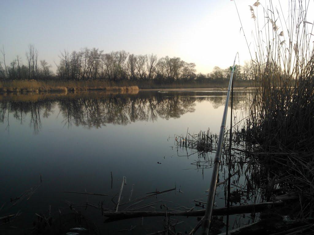 Вільховатка з panoramio.com - Вільховатка