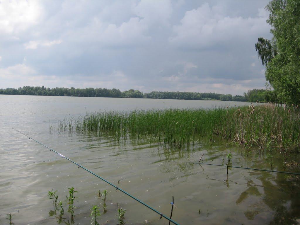 Капітанівка з panoramio.com - Капітанівка