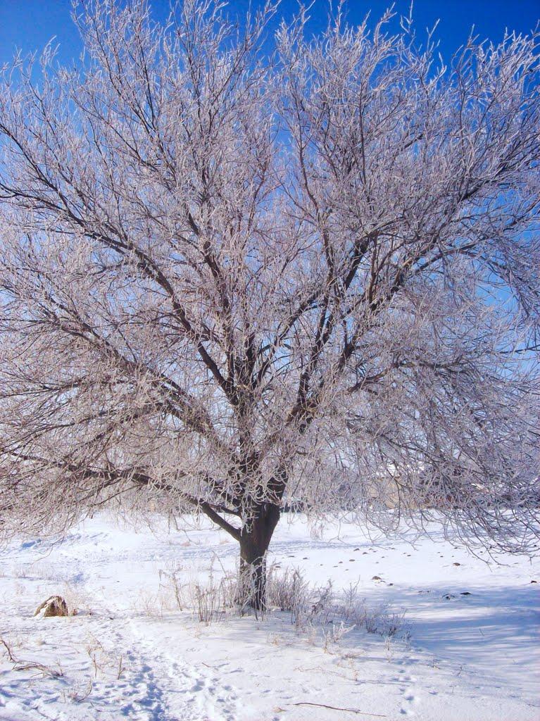 Полянівка з panoramio.com - Полянівка