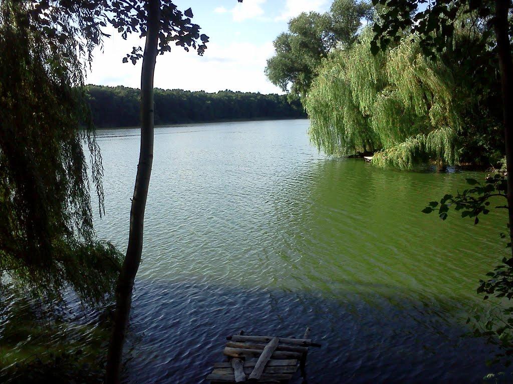 Глибочка з panoramio.com - Глибочка