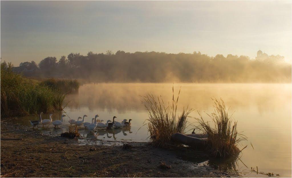 Великий Бобрик з panoramio.com - Velykyy Bobryk