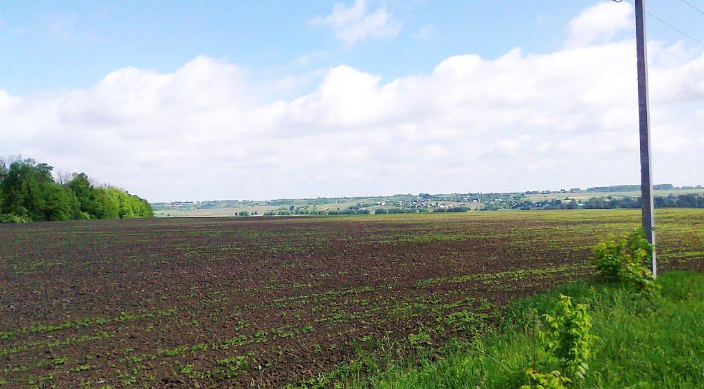 Терехове з panoramio.com - Терехове