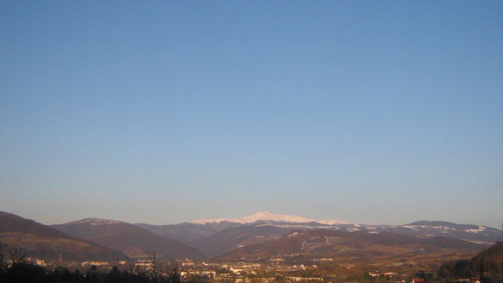 Свалява з panoramio.com - Svalyava