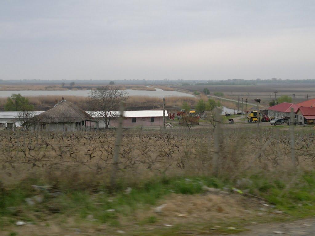 Орлівка з panoramio.com - Orlivka