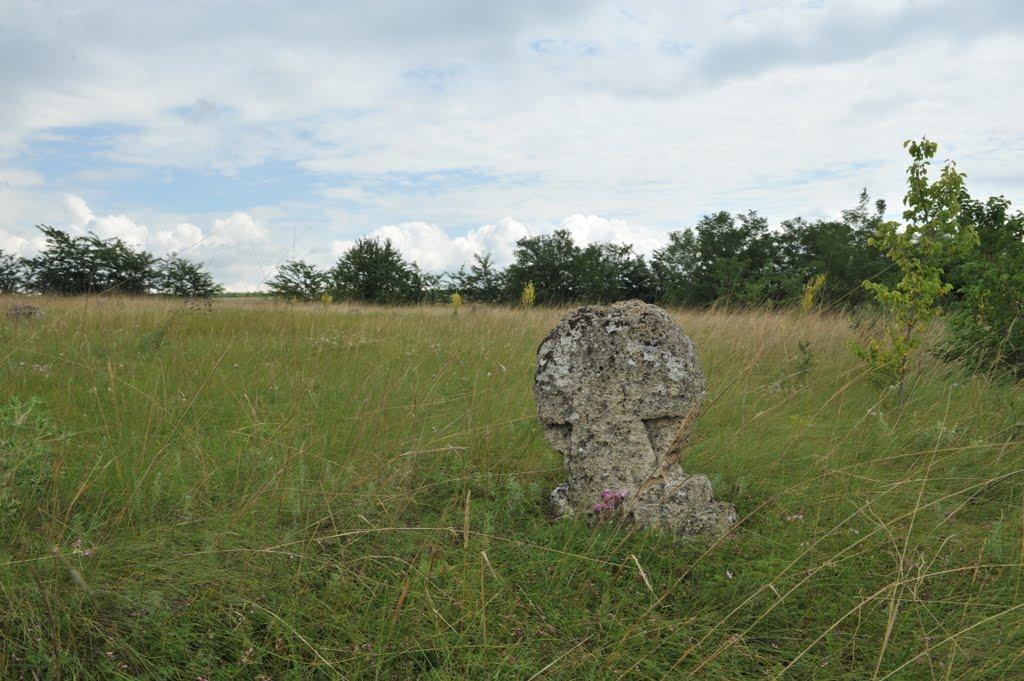 Бецилове з panoramio.com - Betsylove