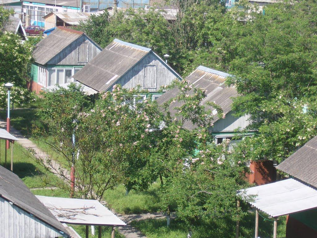 Більшовик з panoramio.com - Большевик