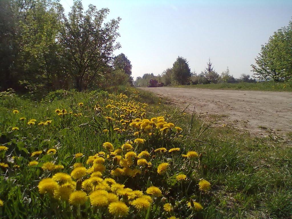 Пильки з panoramio.com - Пильки