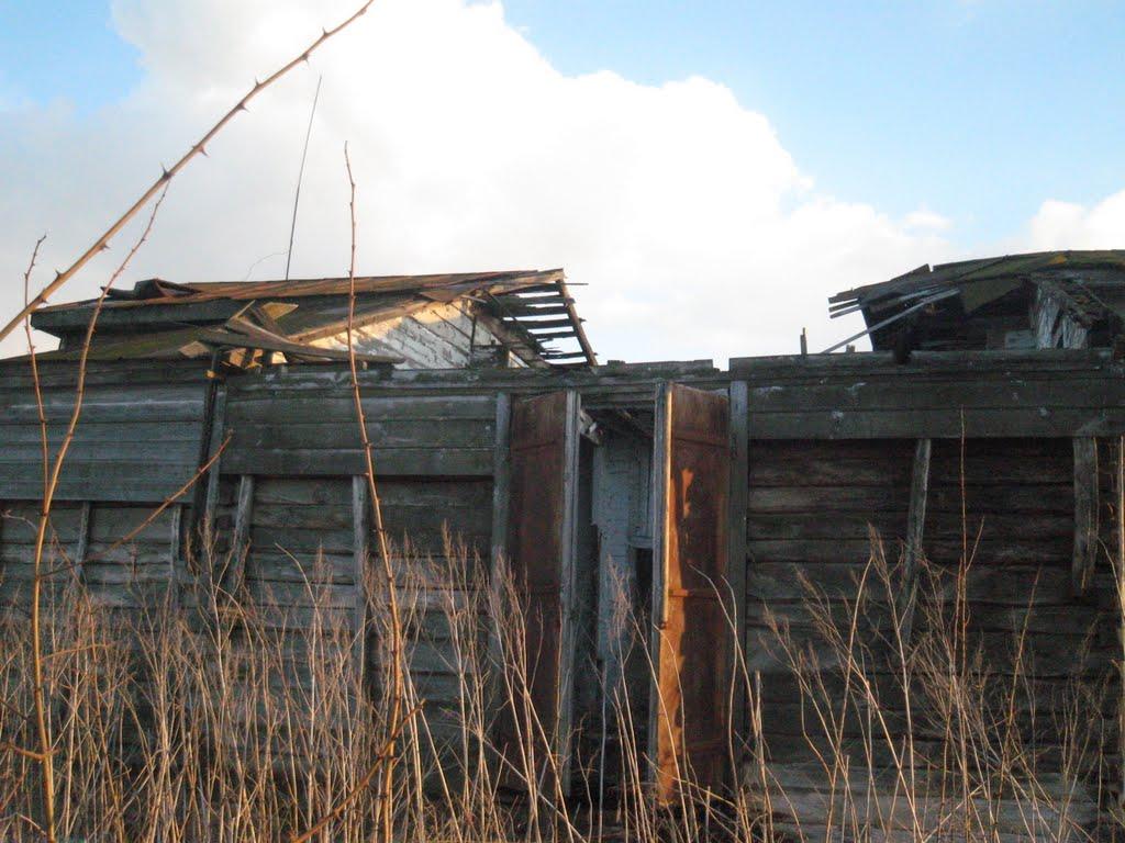 Писаренки з panoramio.com - Писаренки