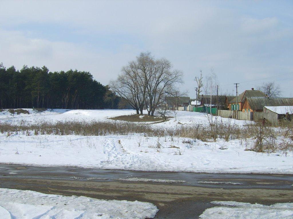 Кам'янка з panoramio.com - Каменка