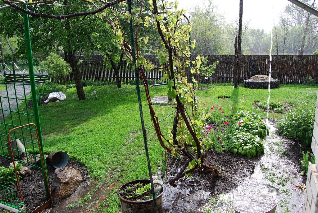 Хорішки з panoramio.com - Хорошки
