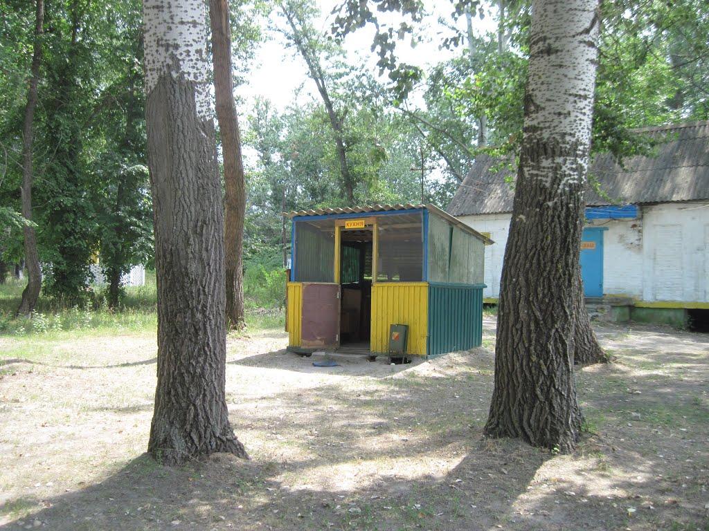 Кияшки з panoramio.com - Кияшки
