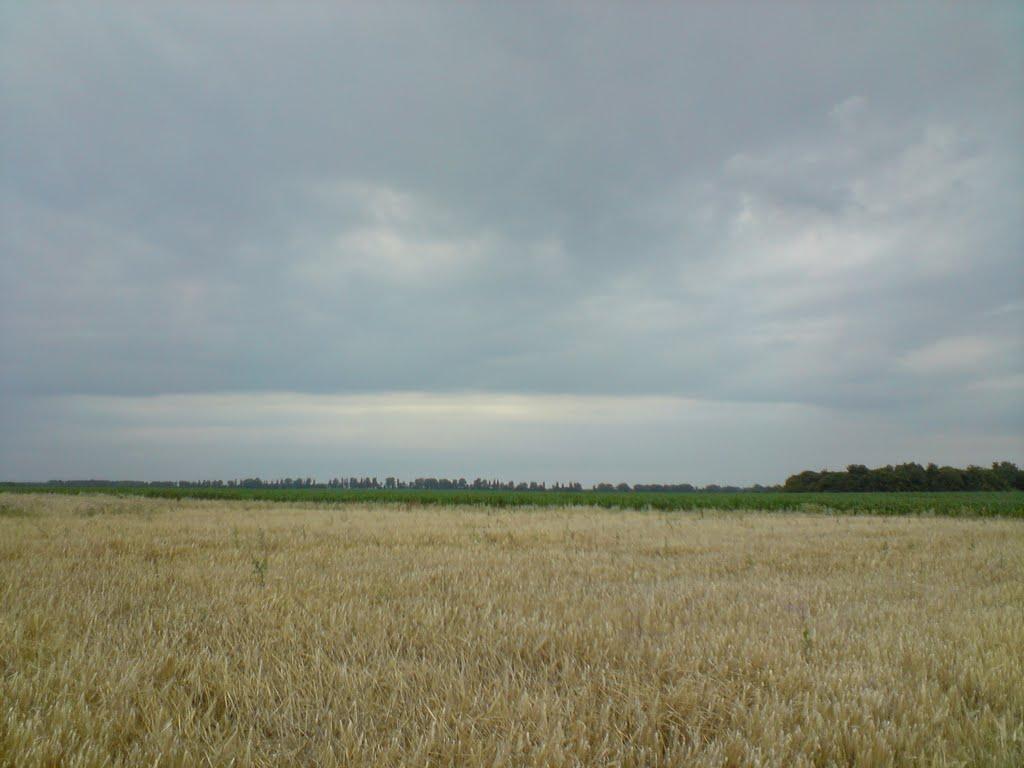 Медвин з panoramio.com - Медвин