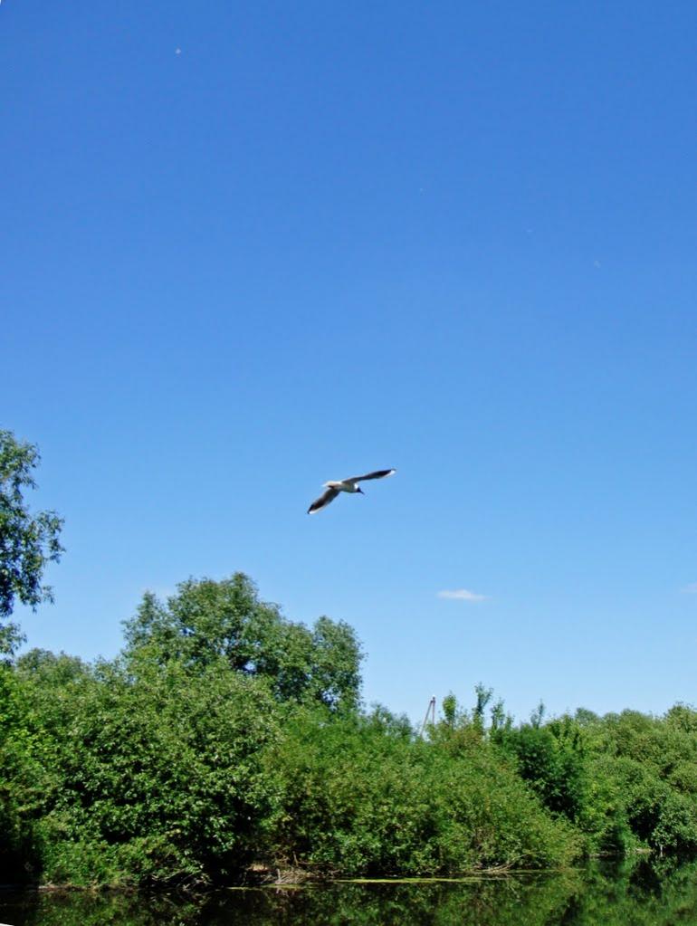Голосків з panoramio.com - Голосков