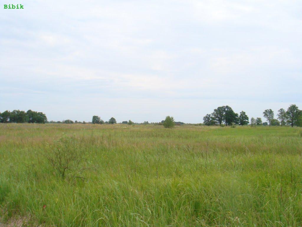 Нівецьке з panoramio.com - Нивецкое