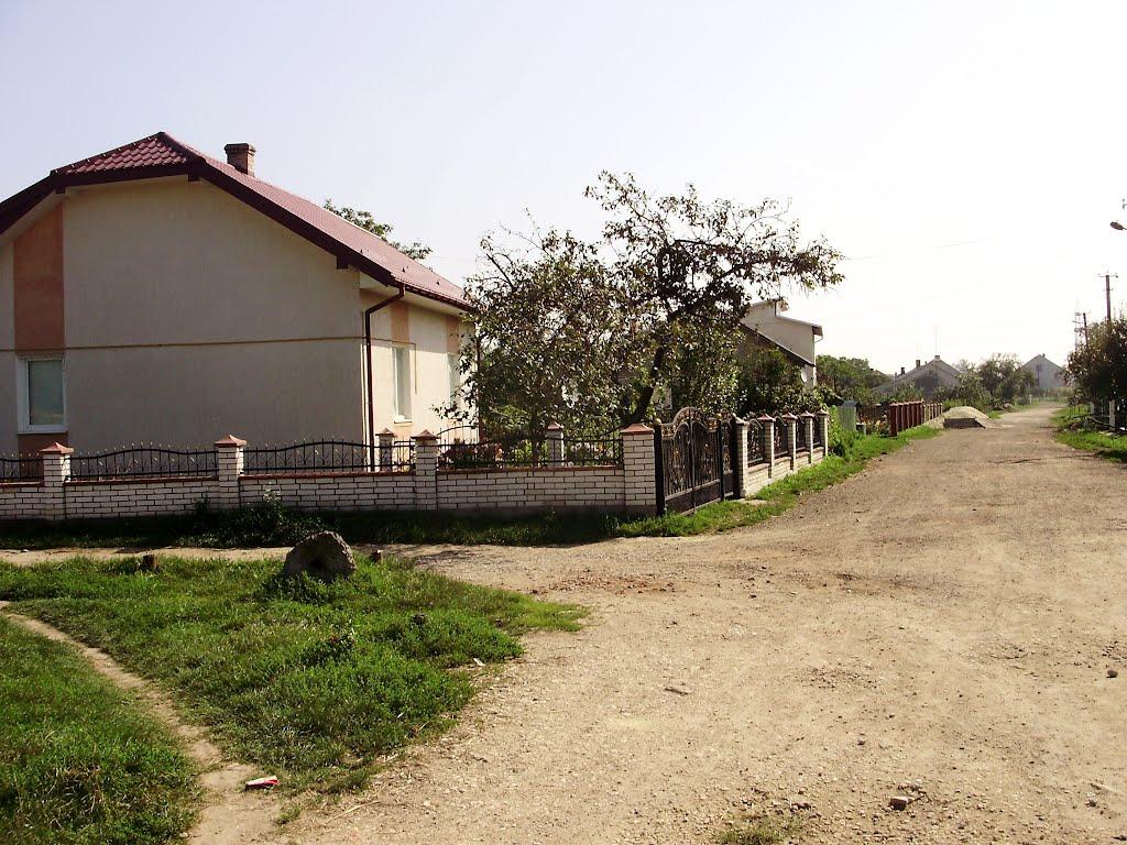 Черниця з panoramio.com - Черниця