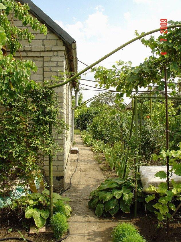 Холодна Балка з panoramio.com - Холодна Балка