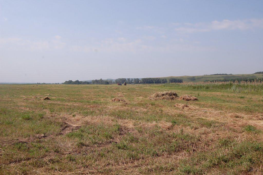 Булгаківка з panoramio.com - Булгаківка