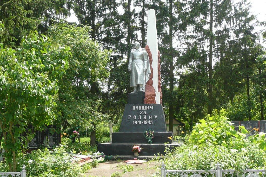 Михайлівці з panoramio.com - Михайлівці