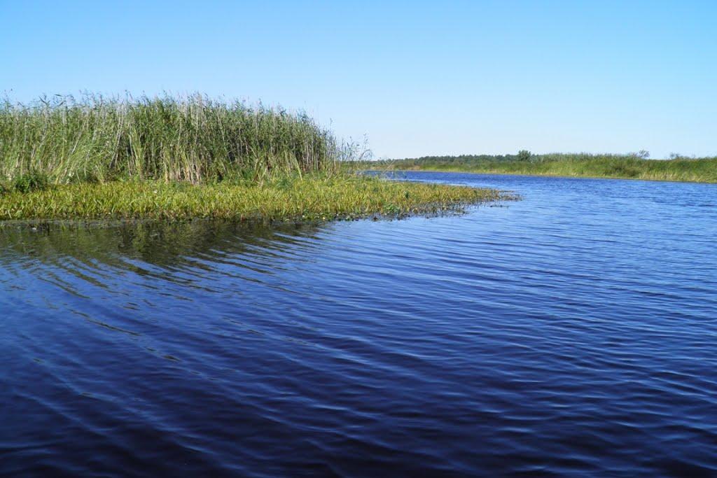 Млин з panoramio.com - Млын