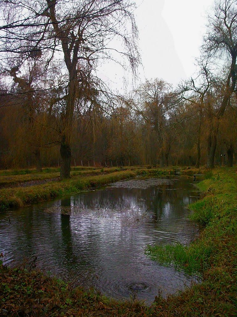 Розовий з panoramio.com (ч.2) - Розовий