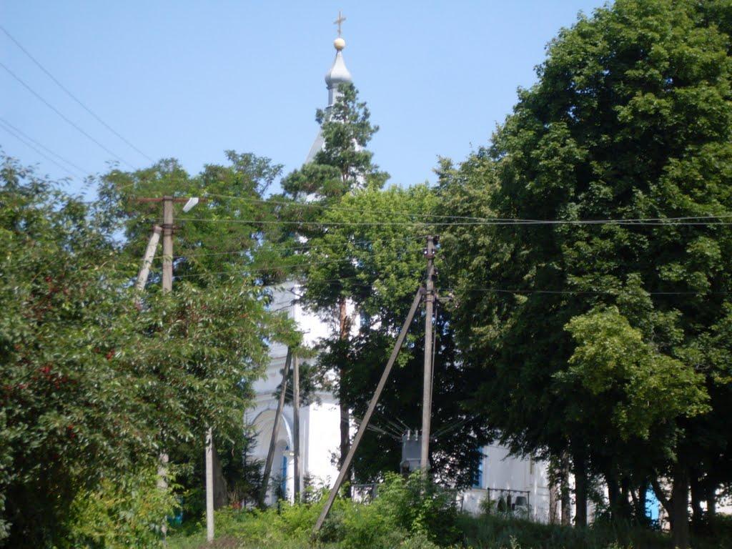 Ладижинські Хутори з panoramio.com - Ладижинські Хутори