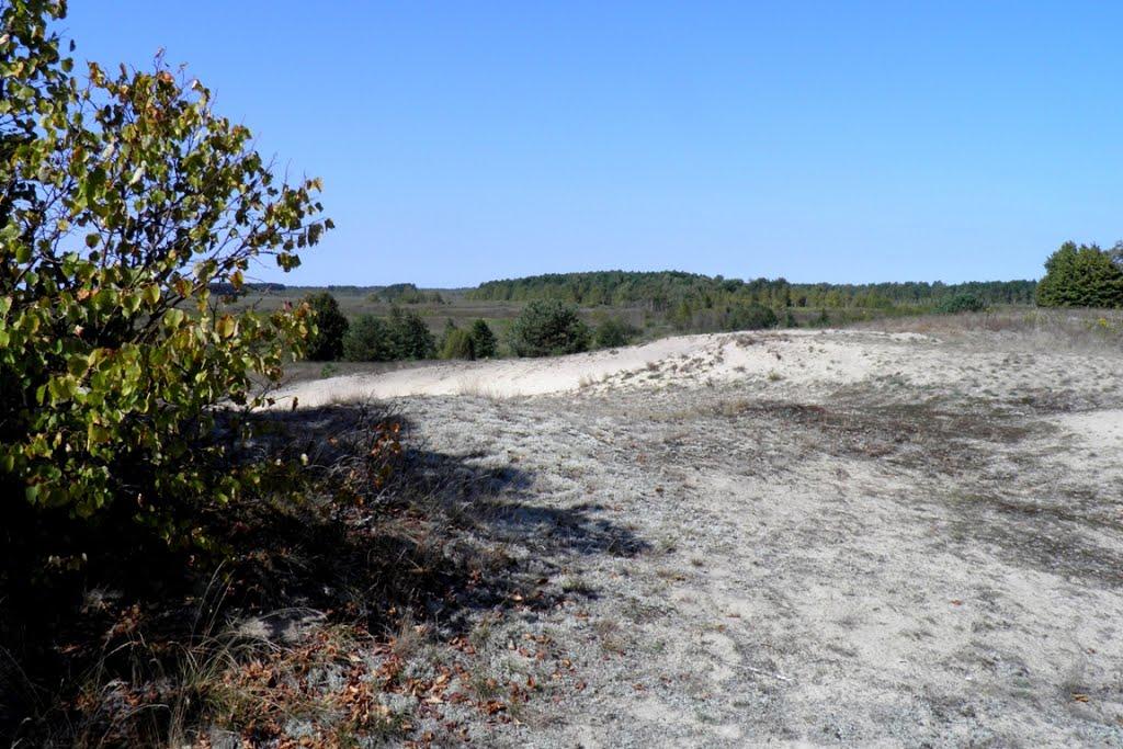 Млин з panoramio.com - Млын