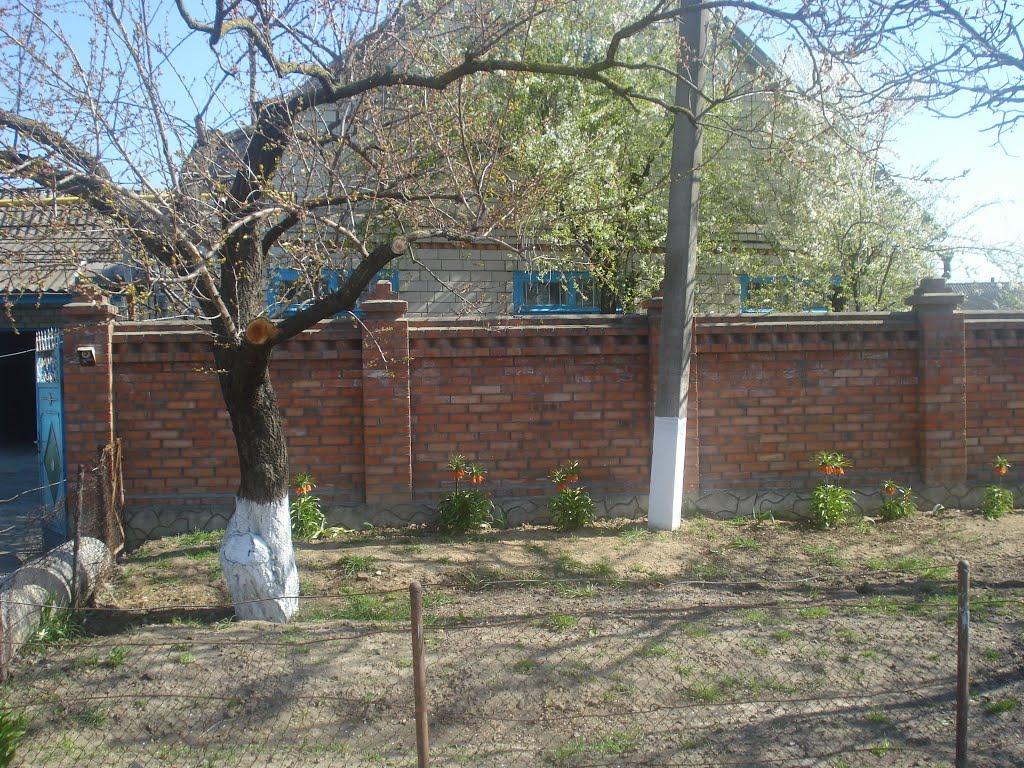 Лиманське з panoramio.com - Лиманское