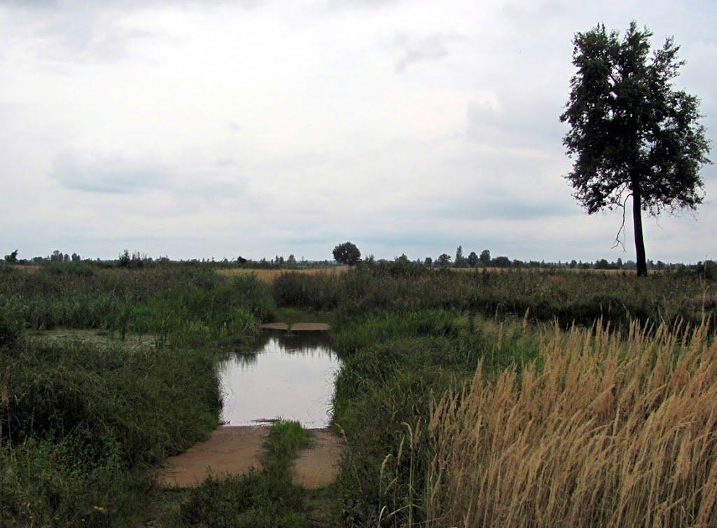 Нівецьке з panoramio.com - Нивецкое