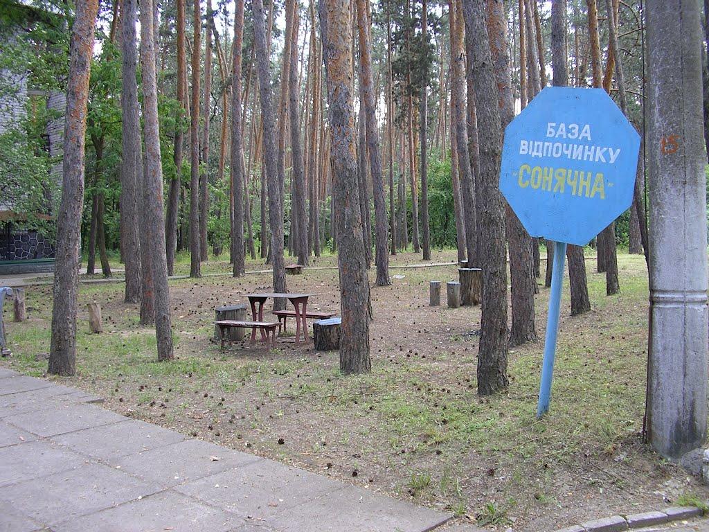 Орлівщина з panoramio.com - Орловщина