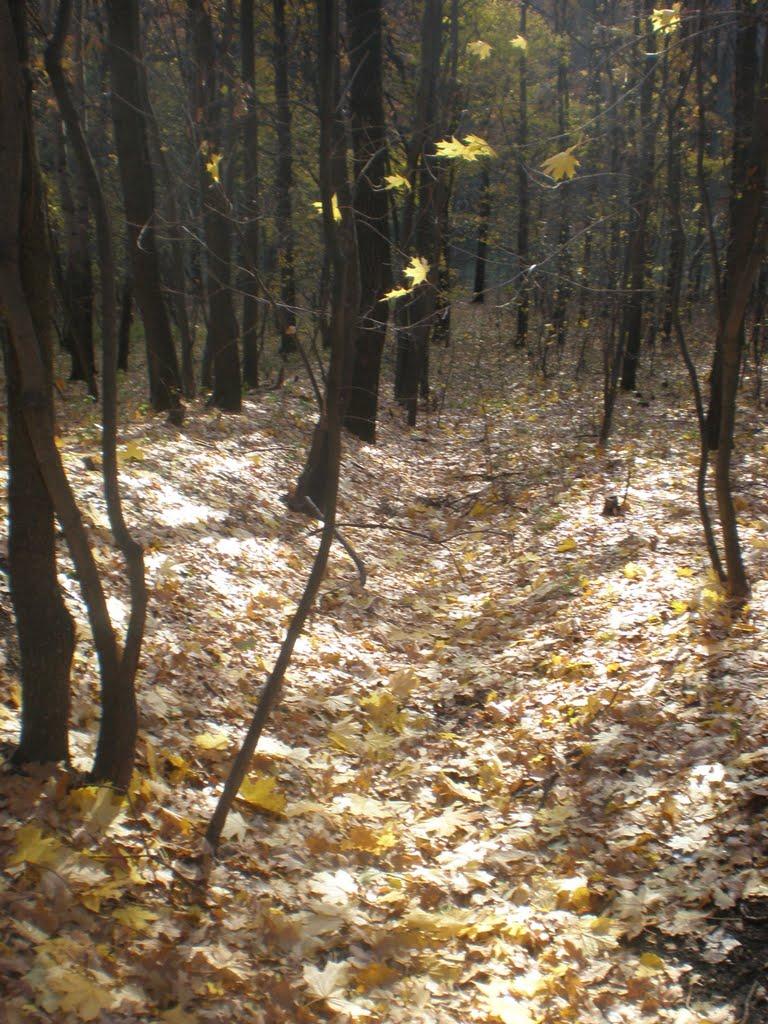 Бабенки з panoramio.com - Бабенки