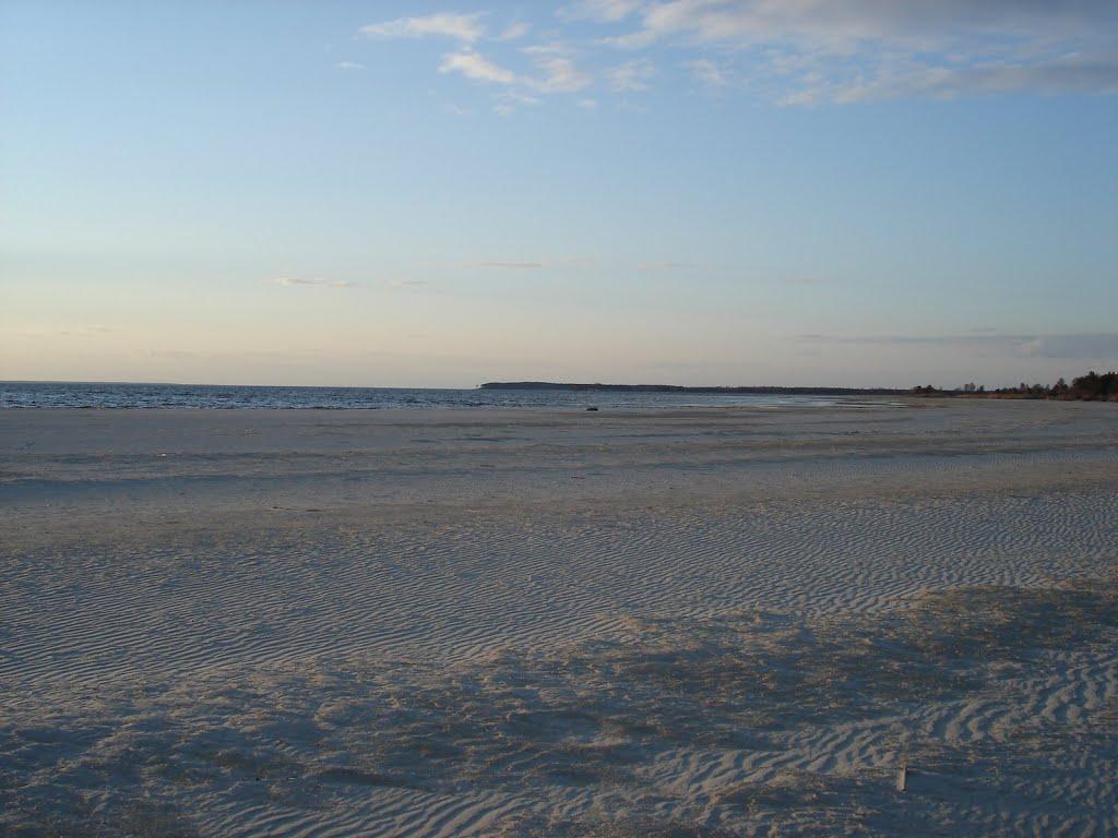 Ровжі з panoramio.com - Ровжі