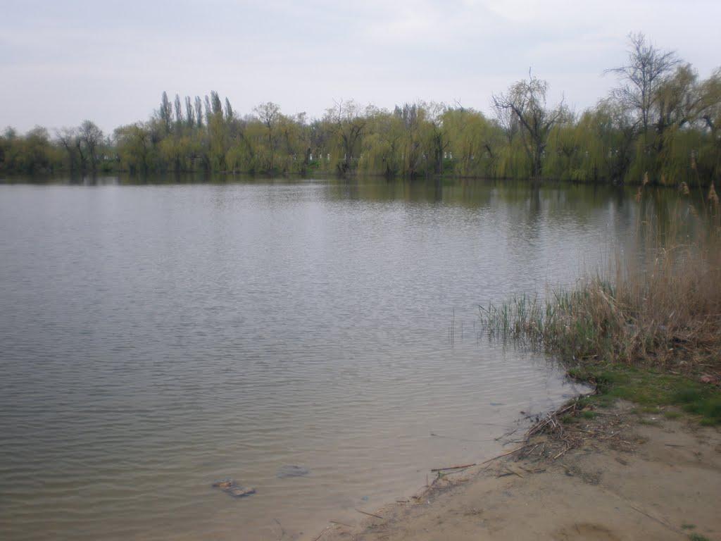 Тельманове з panoramio.com - Тельманове