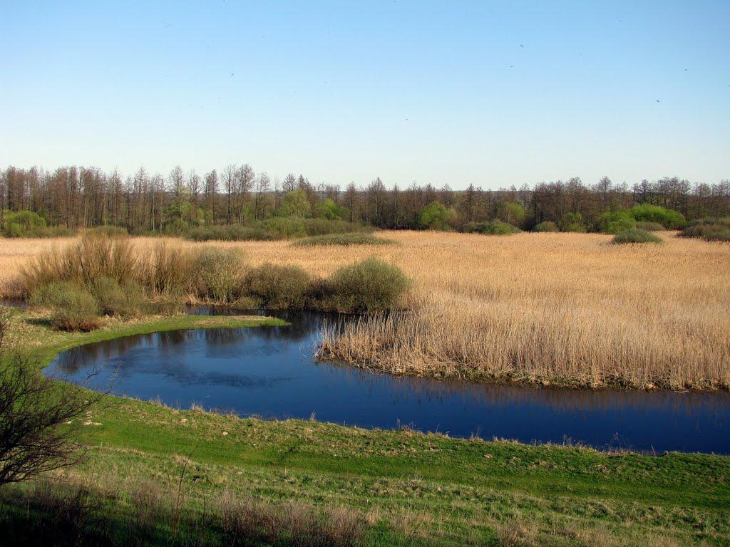 Сухополова з panoramio.com - Сухополова