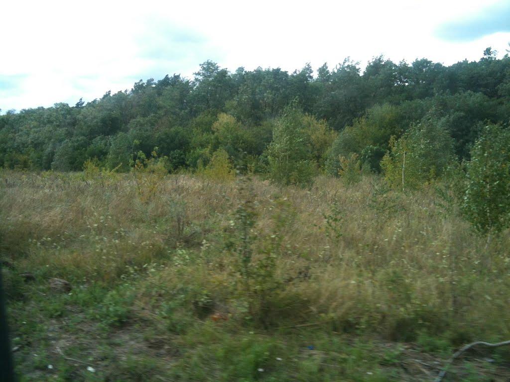 Любитове з panoramio.com - Любитово