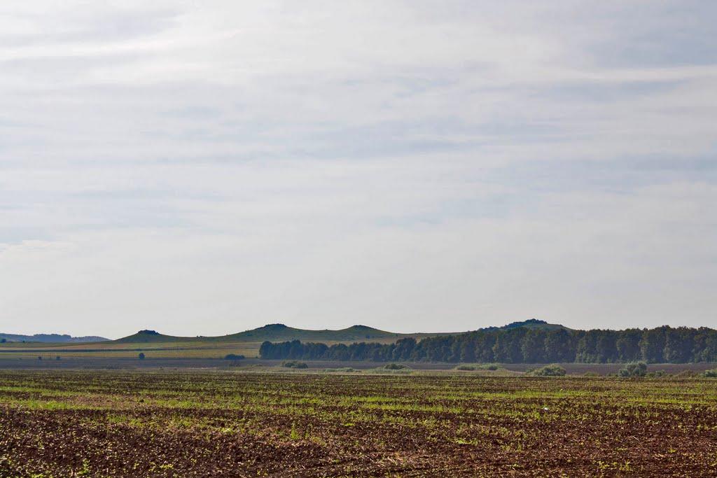 Нігин з panoramio.com - Nigyn