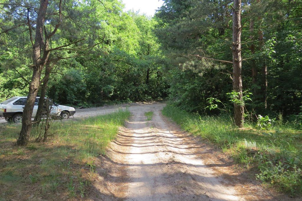 Софіївка з panoramio.com - Софиевка