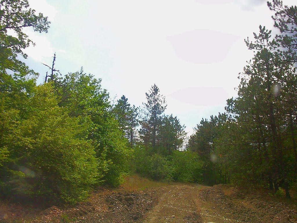 Щасливе з panoramio.com - Счастливое