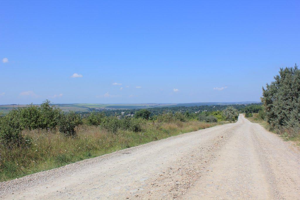 Зелена з panoramio.com - Зелена