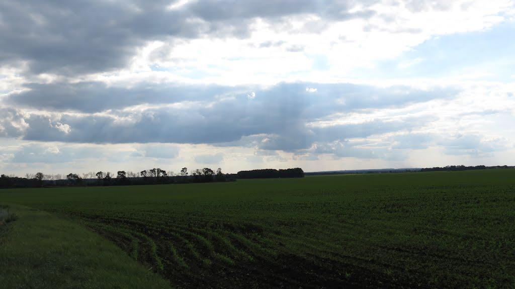 Крюкове з panoramio.com - Крюково