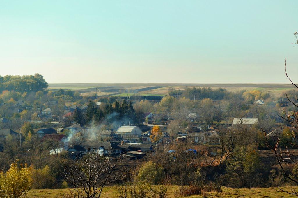 Подвір'ївка з panoramio.com - Podviryivka