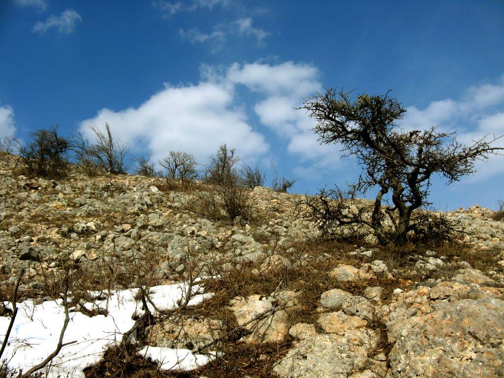 Чайковське з panoramio.com (ч.2) - Чайковское