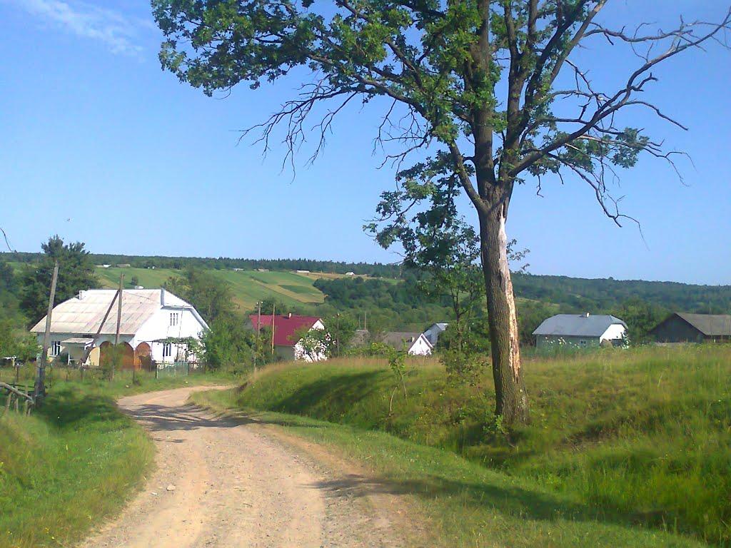 Слобода-Долинська з panoramio.com - Слобода-Долинська