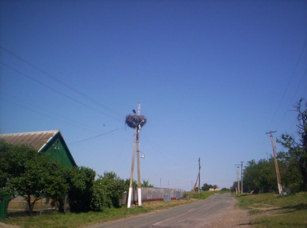 Хмельницьке з panoramio.com - Хмельницкое