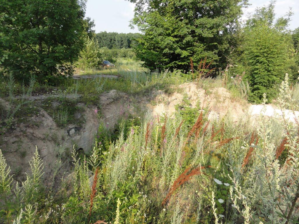 Дзензелівка з panoramio.com - Дзензелівка