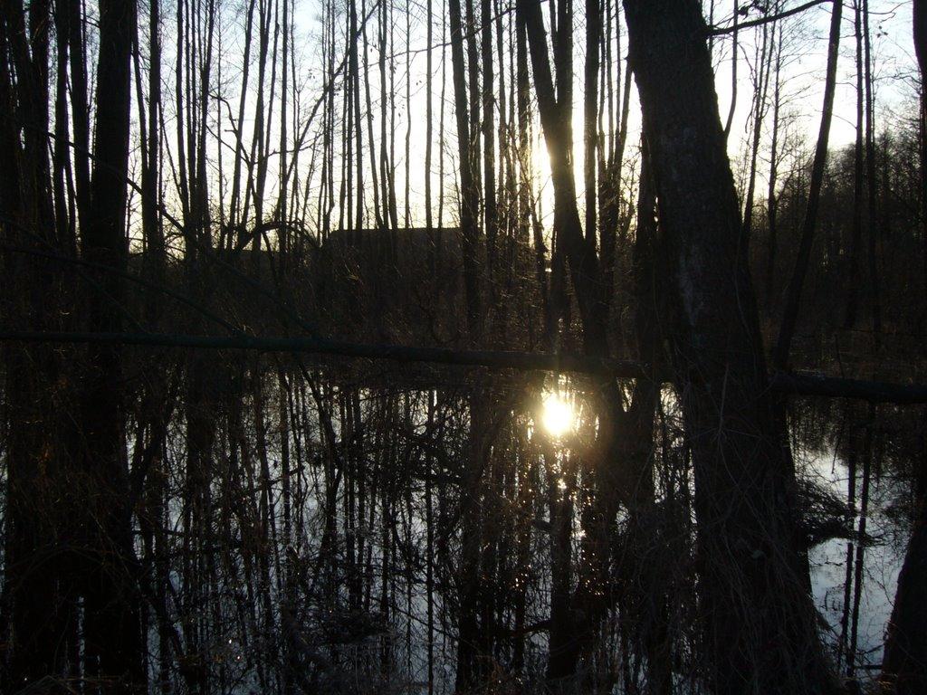 Вишнівка з panoramio.com - Вишнівка