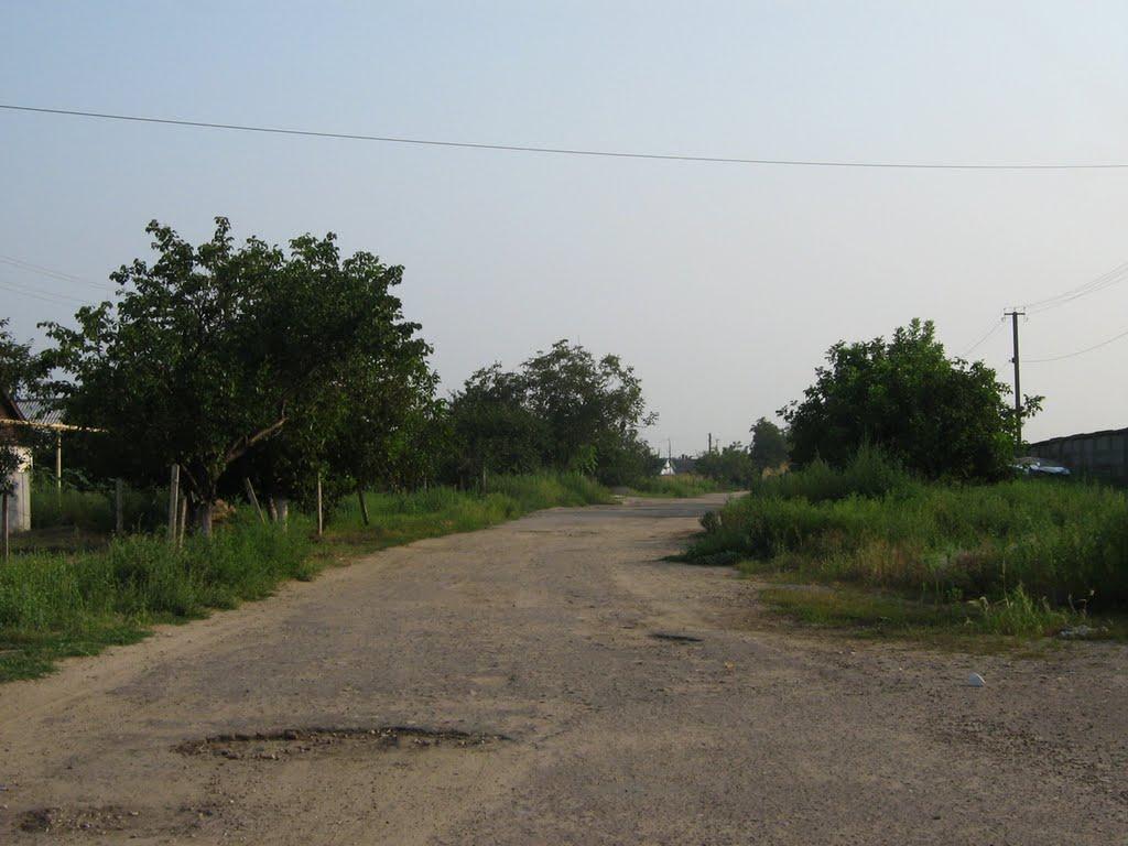 Лиманське з panoramio.com - Лиманское