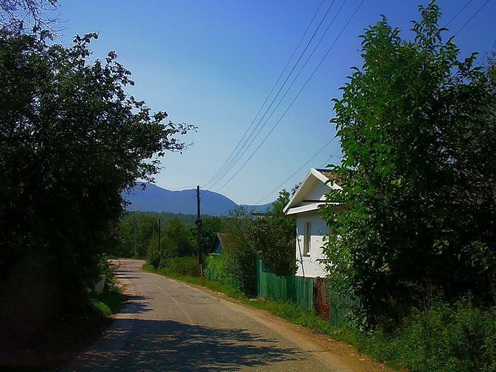 Плотинне з panoramio.com - Плотинное
