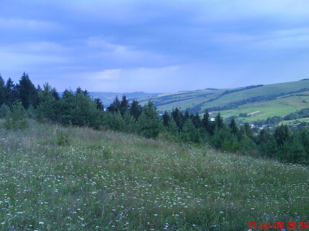 Сливниця з panoramio.com - Сливниця