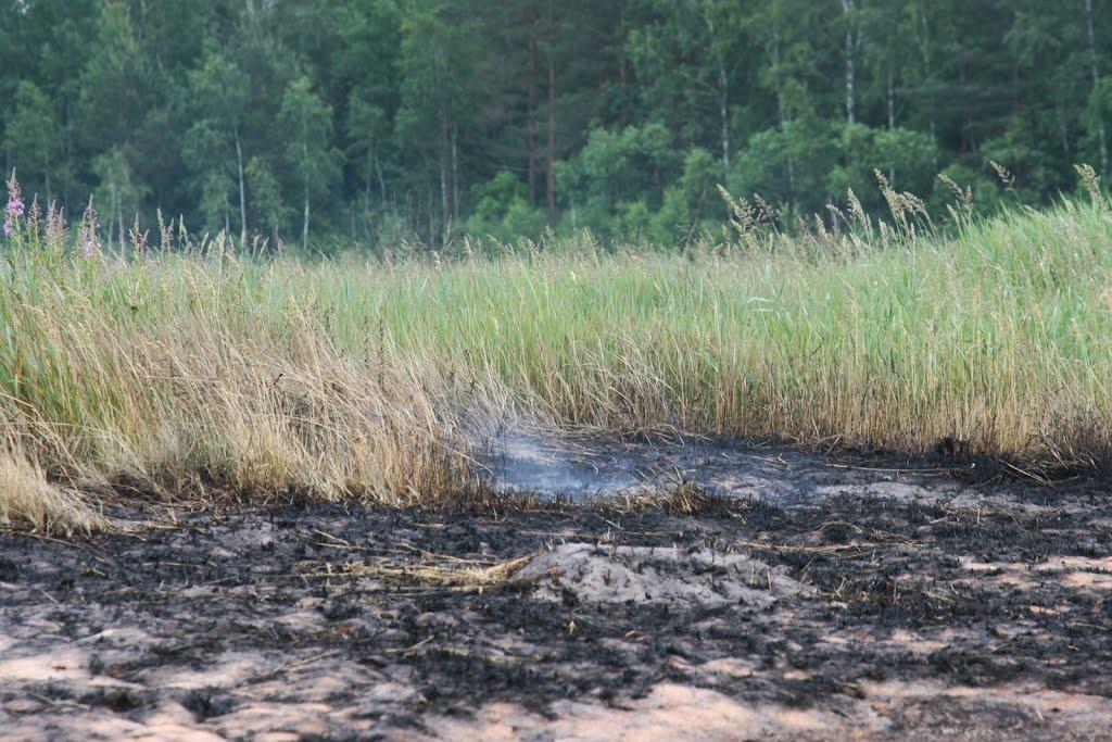 Замисловичі з panoramio.com - Замисловичі