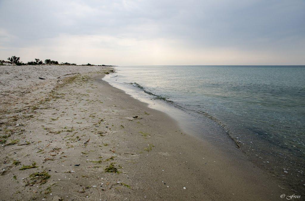 Покровка з panoramio.com - Покровка